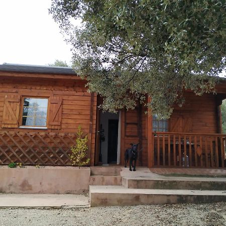 La Casa Del Estanque Villa Olocau del Rey Exterior foto