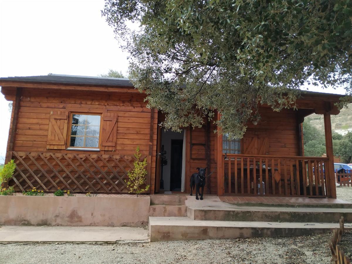 La Casa Del Estanque Villa Olocau del Rey Exterior foto